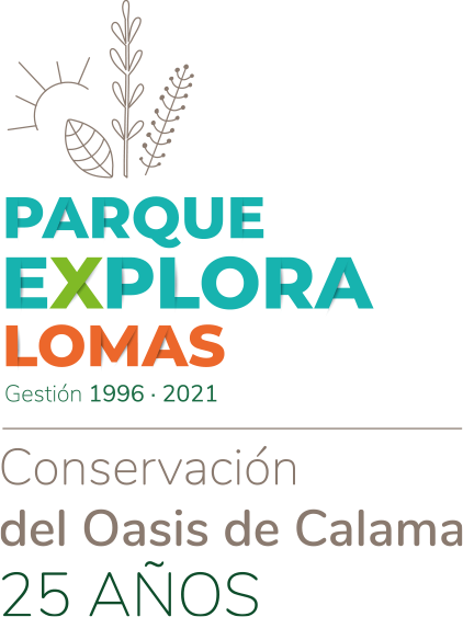 Parque Explora Lomas